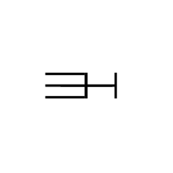 E. S. Hunter | New York logo